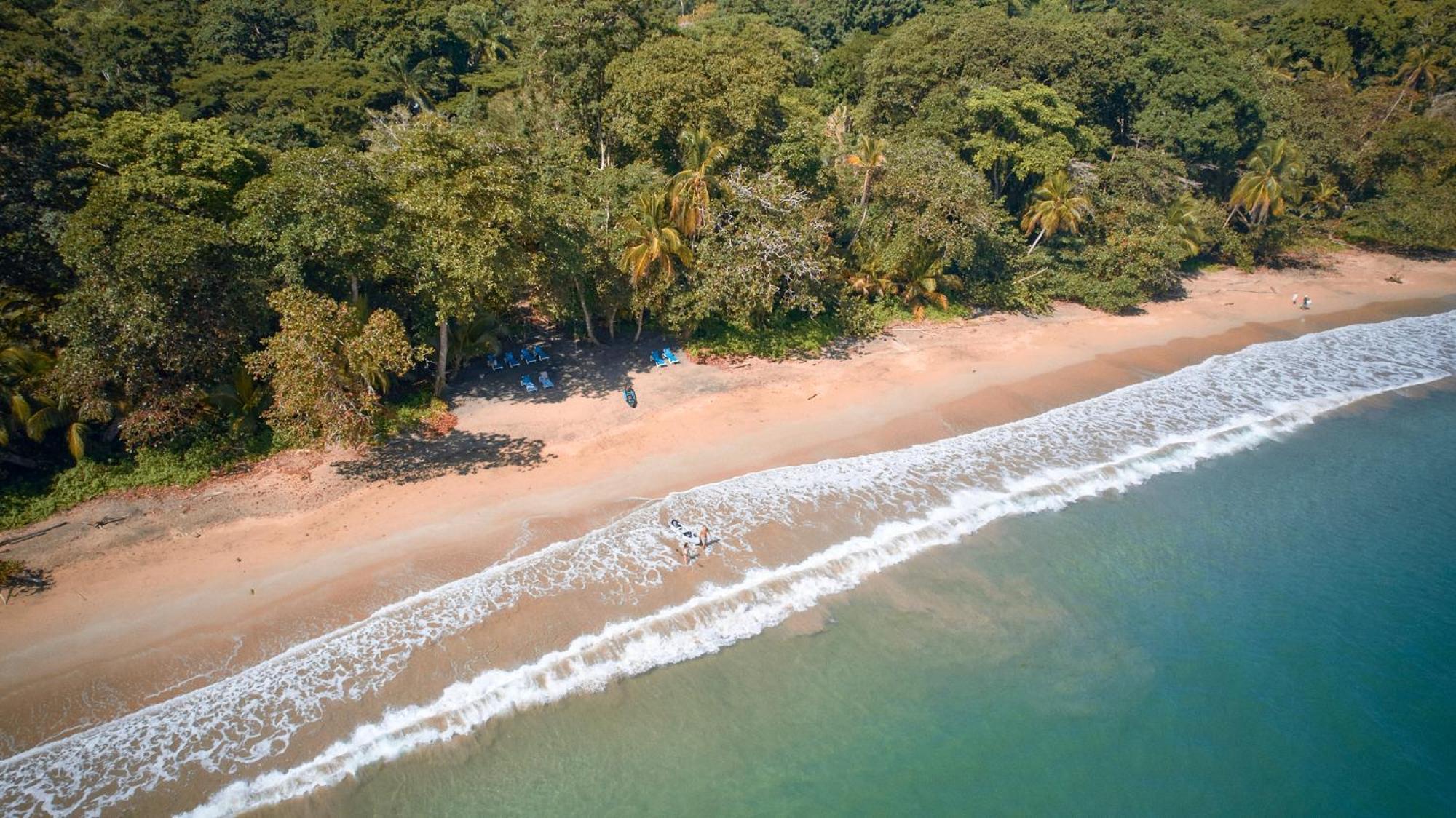 Casa Viva Lodge Puerto Viejo de Talamanca Экстерьер фото