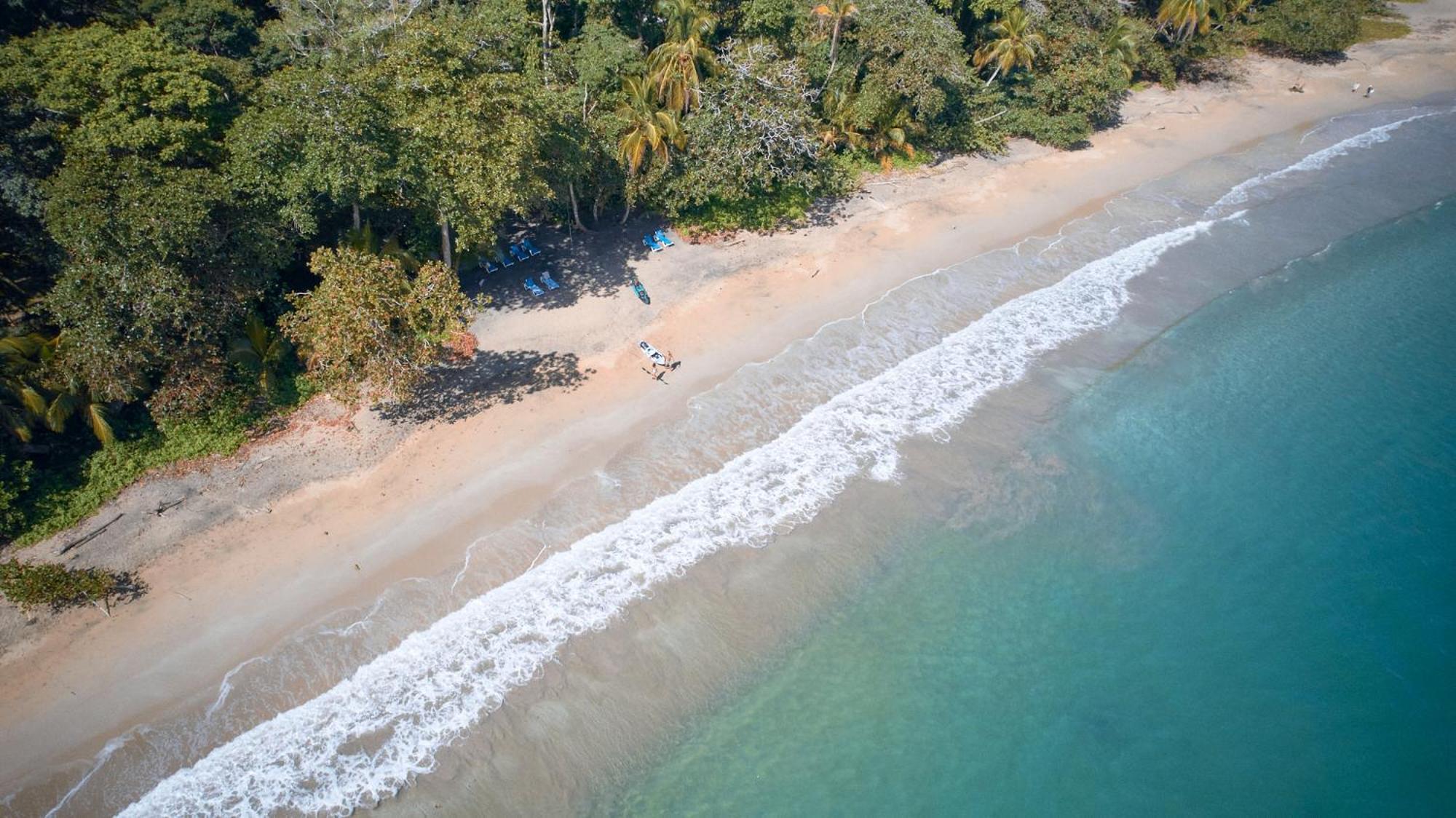 Casa Viva Lodge Puerto Viejo de Talamanca Экстерьер фото