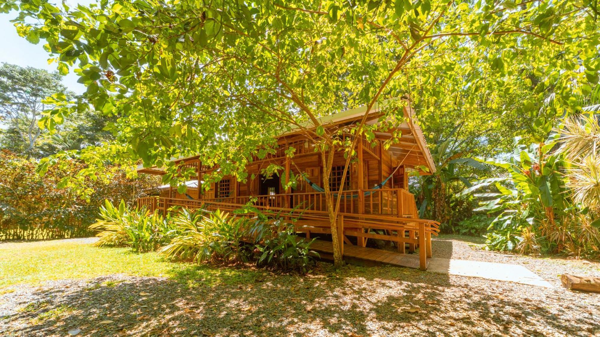 Casa Viva Lodge Puerto Viejo de Talamanca Экстерьер фото
