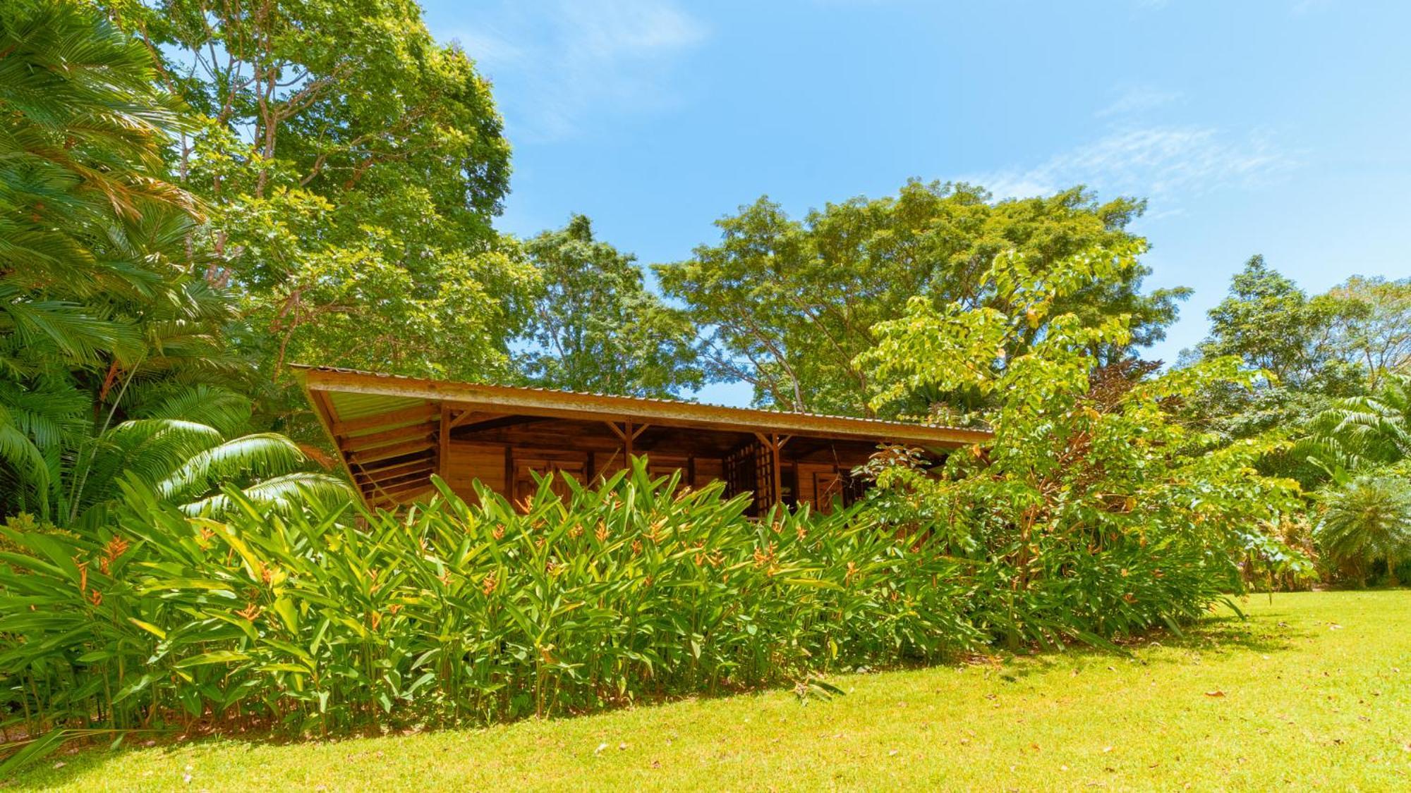 Casa Viva Lodge Puerto Viejo de Talamanca Экстерьер фото