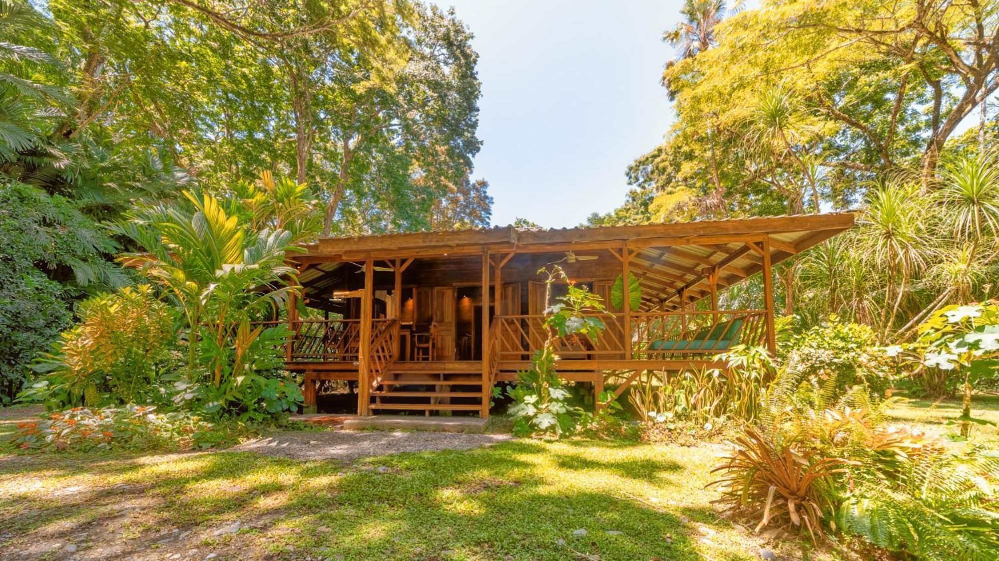 Casa Viva Lodge Puerto Viejo de Talamanca Экстерьер фото