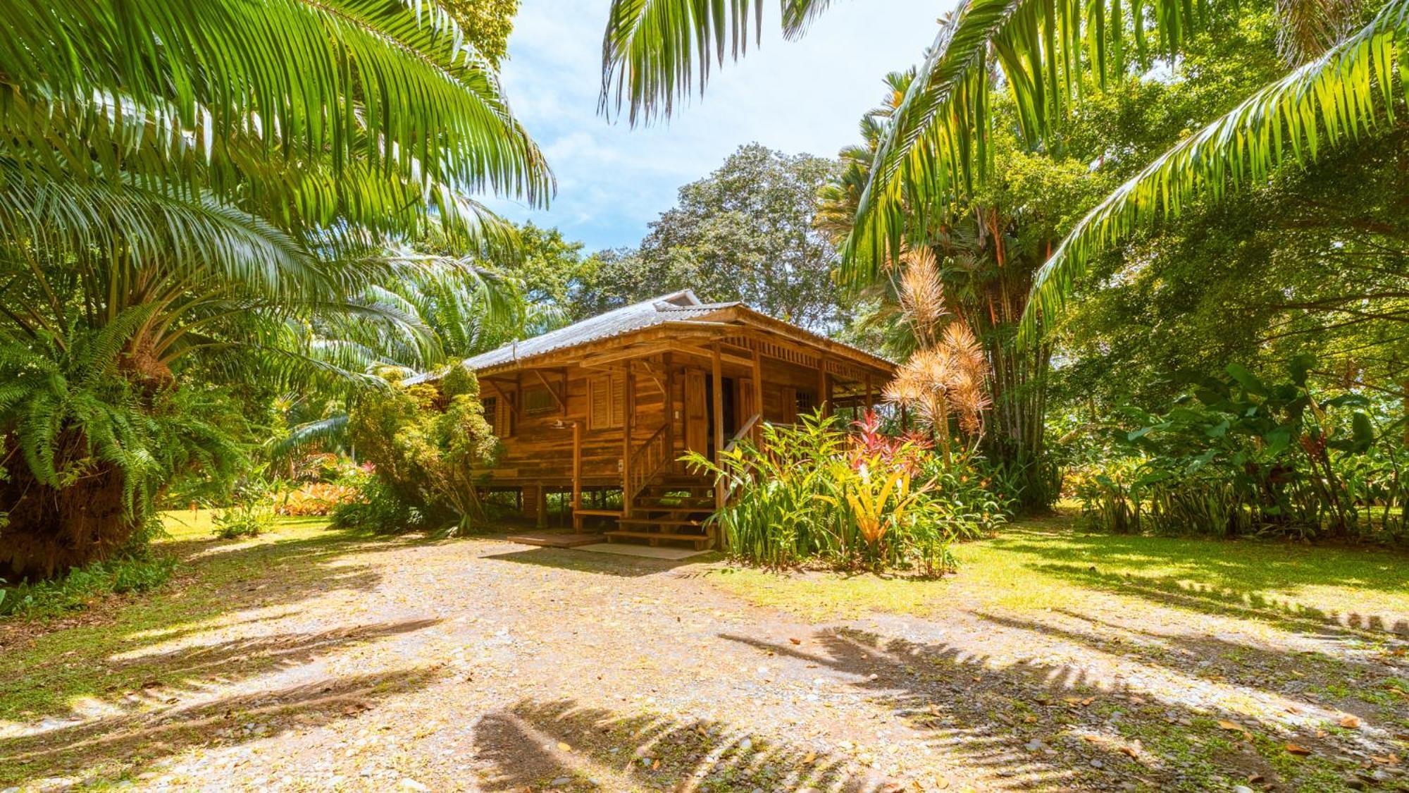 Casa Viva Lodge Puerto Viejo de Talamanca Экстерьер фото