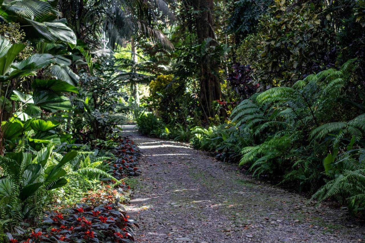 Casa Viva Lodge Puerto Viejo de Talamanca Экстерьер фото