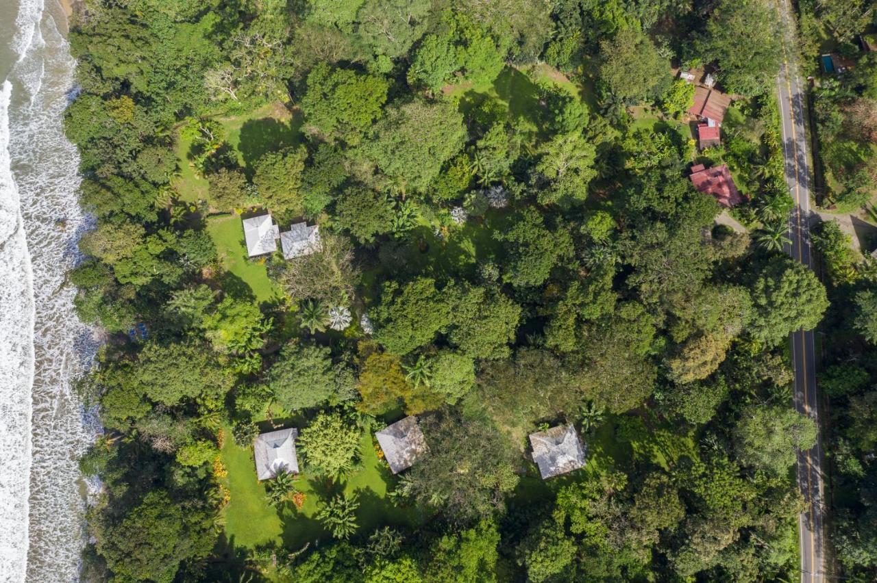 Casa Viva Lodge Puerto Viejo de Talamanca Экстерьер фото