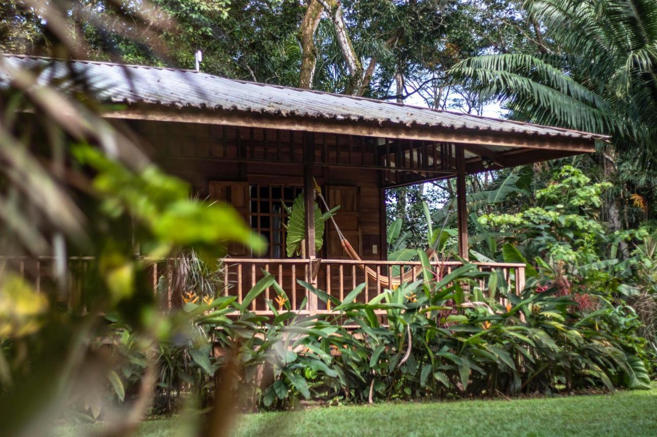 Casa Viva Lodge Puerto Viejo de Talamanca Экстерьер фото
