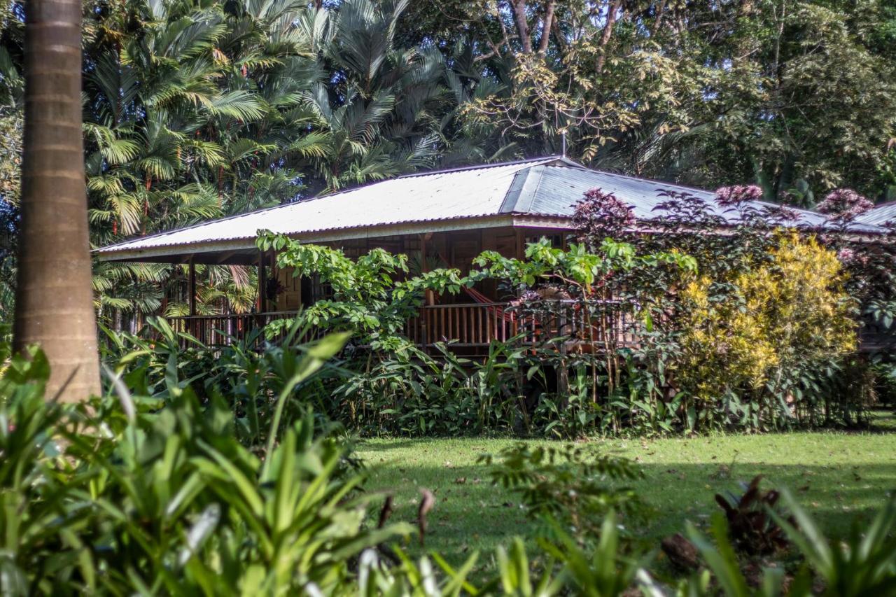 Casa Viva Lodge Puerto Viejo de Talamanca Экстерьер фото