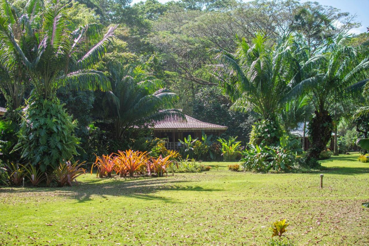 Casa Viva Lodge Puerto Viejo de Talamanca Экстерьер фото
