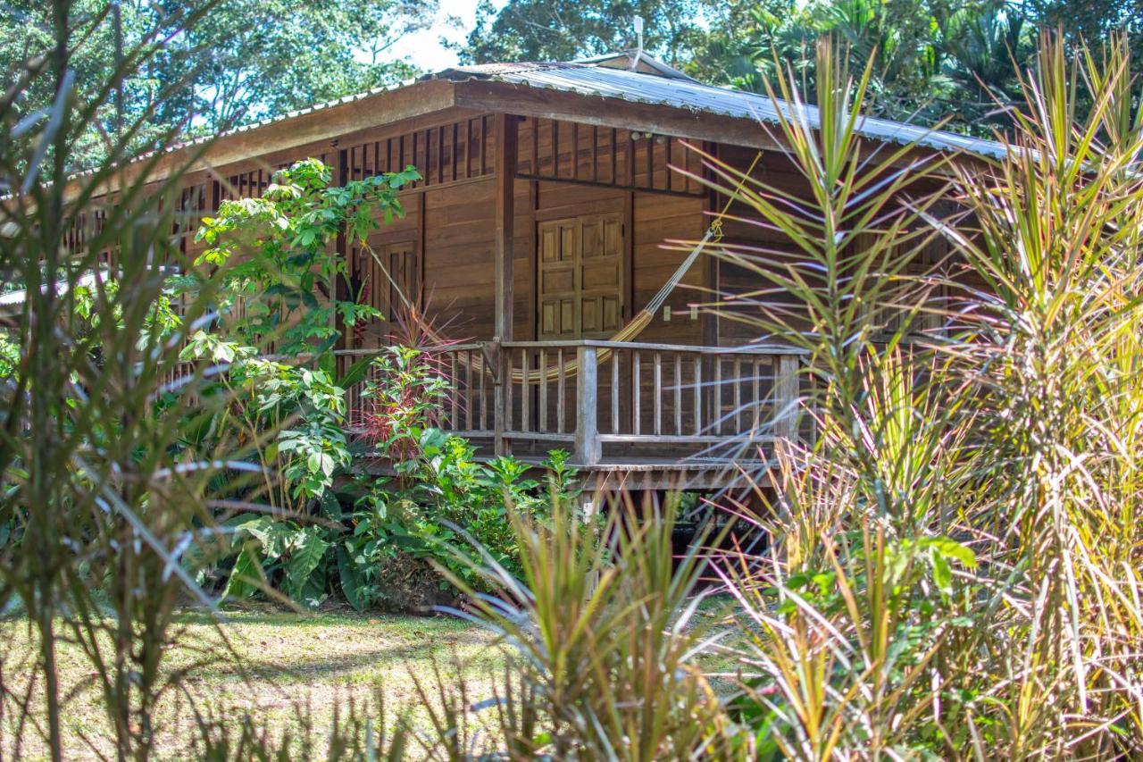 Casa Viva Lodge Puerto Viejo de Talamanca Экстерьер фото