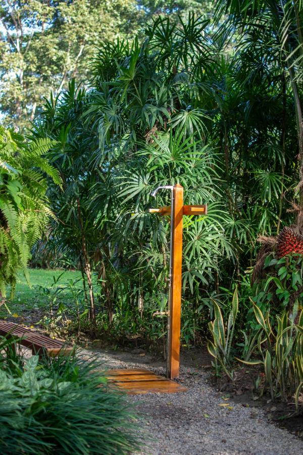 Casa Viva Lodge Puerto Viejo de Talamanca Экстерьер фото