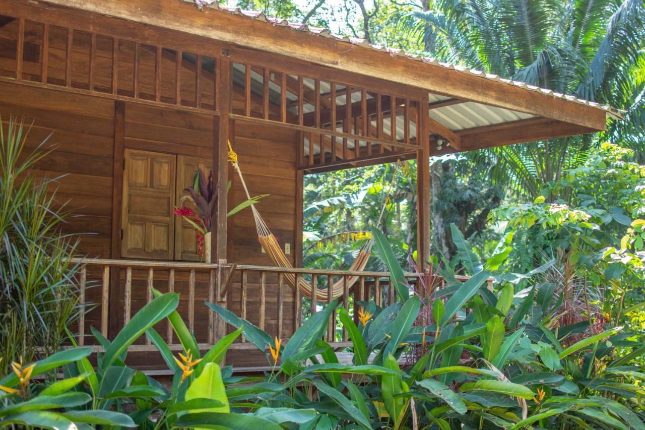 Casa Viva Lodge Puerto Viejo de Talamanca Экстерьер фото